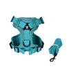A teal adjustable no-pull dog harness and leash set with reflective strips.