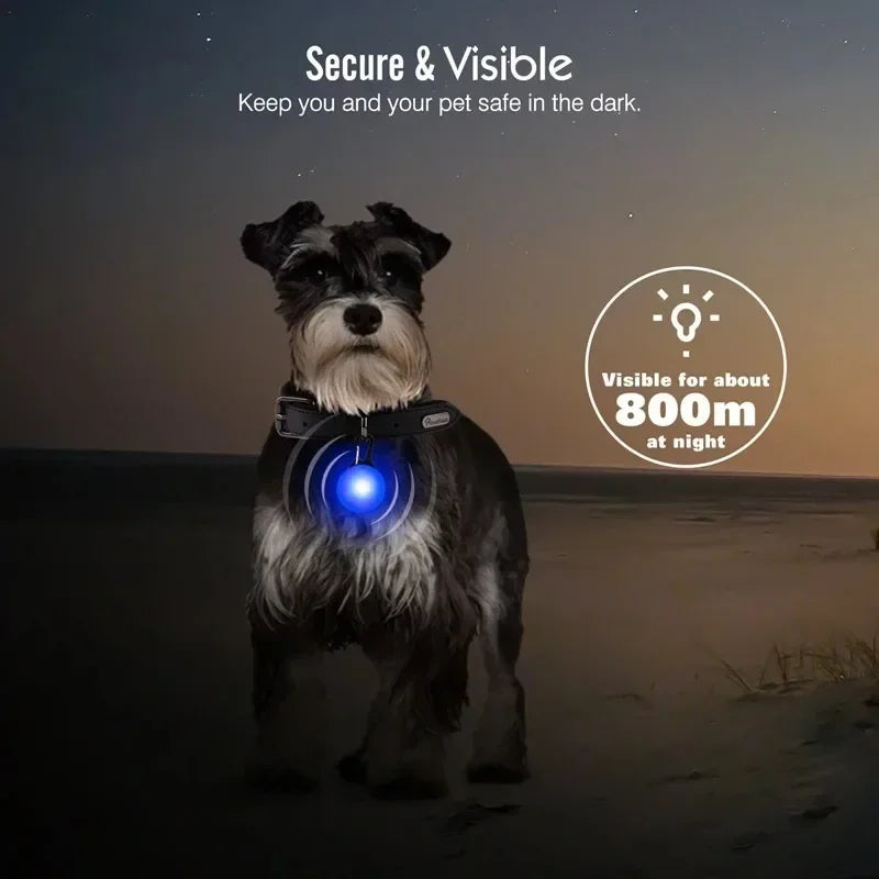 LED-Hundehalsband-Anhänger für Nachtsicherheit