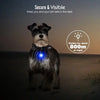 LED-Leuchthalsband-Anhänger für Hunde