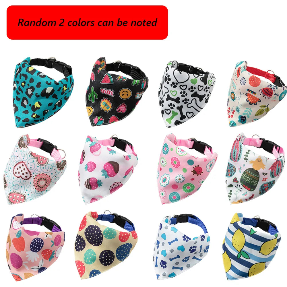 A collection of colorful printed pet collars and matching bandanas for small dogs and cats.