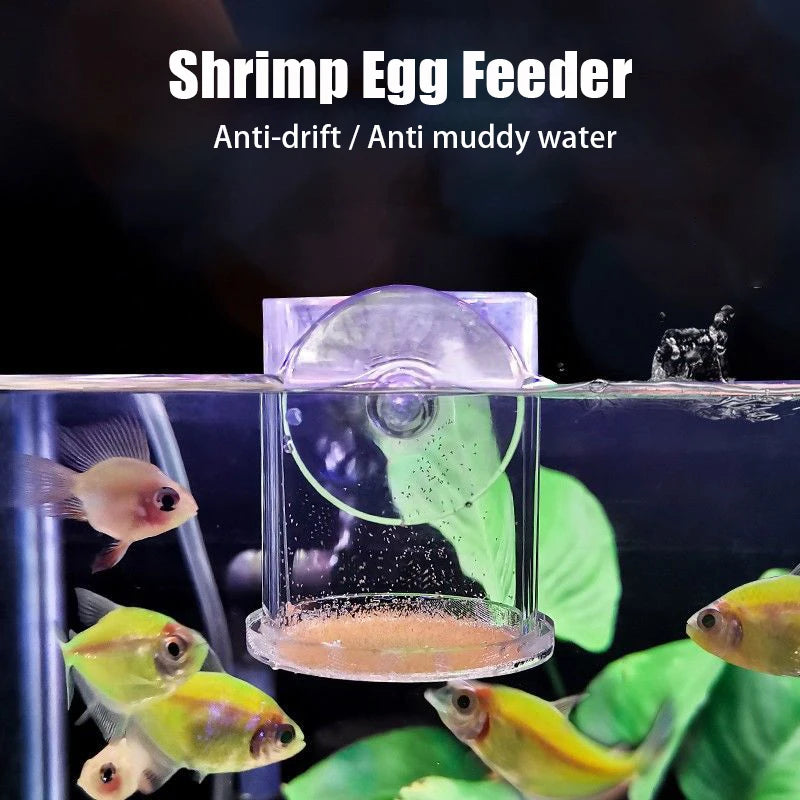Clear Acrylic Aquarium Feeding Cup Ring Anti-drift Betta Fish Feeder