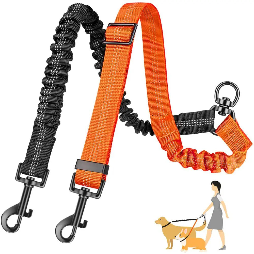 Dual Dog Leash with Shock-Absorbing Bungee (16 ft)