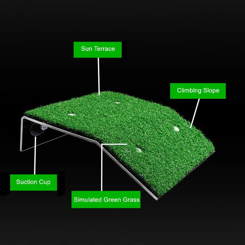 Turtle Basking Platform with Simulation Lawn Ramp
