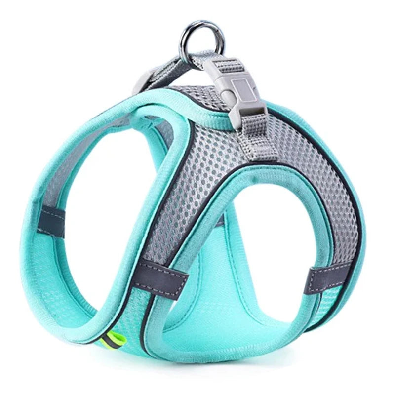 A turquoise pet harness with a silver clip and strap is shown against a white background.