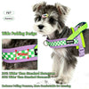 Quick-Release No-Choke Dog Harness with Dual D-Rings