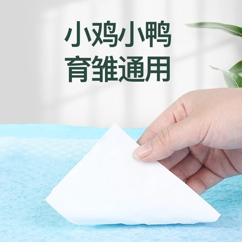 Highly Absorbent Disposable Pet Training Pads with Leak-Proof Protection