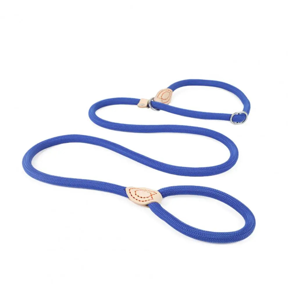 Blue heavy duty slip lead dog leash with an adjustable stopper.