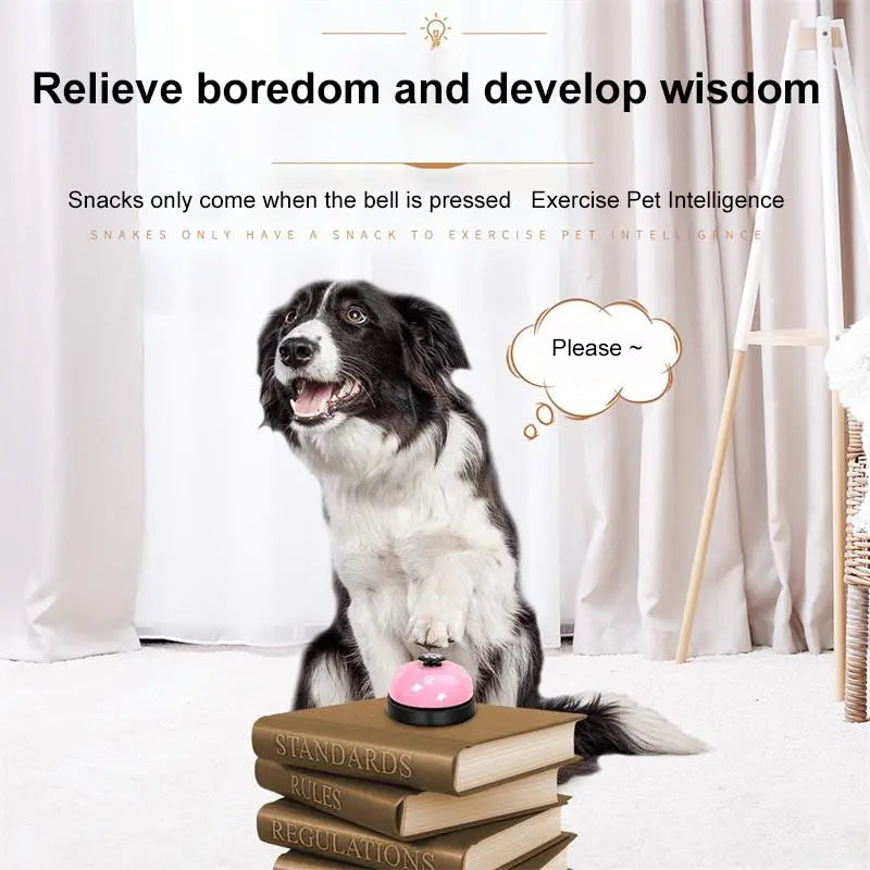 A black and white dog sits next to a pink training bell on a stack of books, illustrating pet intelligence training.