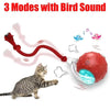 Motion-Activated Cat Toy Ball with Bird Chirping Sounds