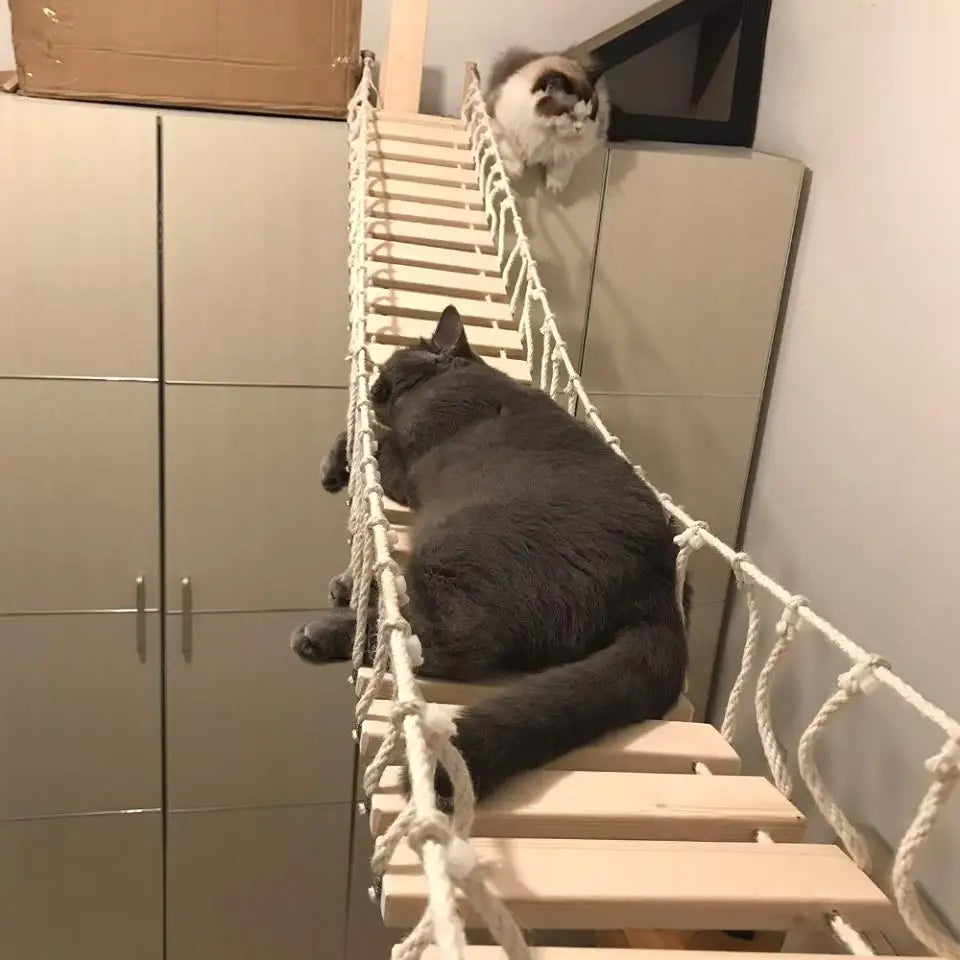 Wall-Mounted Cat Climbing Shelf Set with Hammock and Scratching Posts
