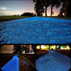 Close-up of a glowing blue path made of glow-in-the-dark decorative resin pebbles at dusk.