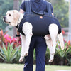 Großer Hundetrage-Rucksack
