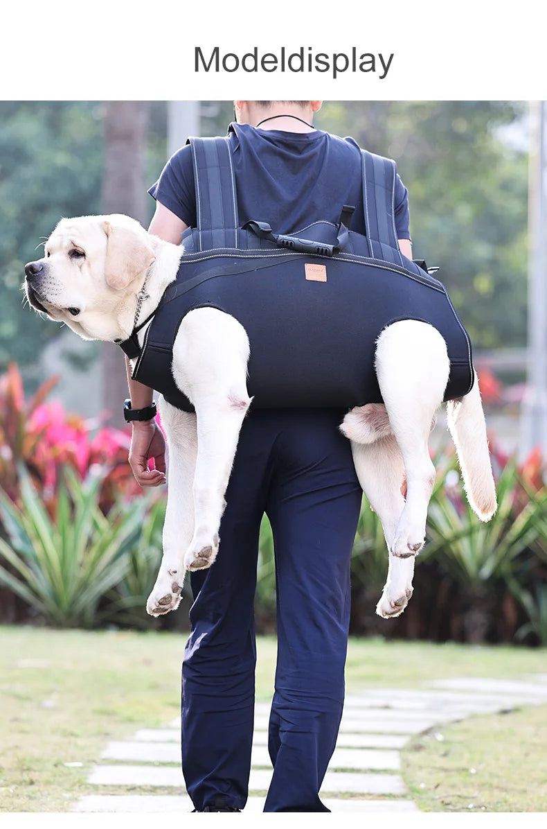 Ein großer Hund wird in einem schwarzen Rucksackträger auf dem Rücken einer Person im Freien getragen.