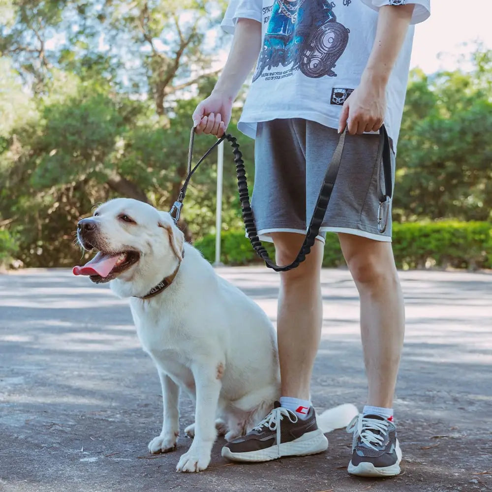 Tactical Dog Leash with Dual Handles and Shock-Absorbing Bungee