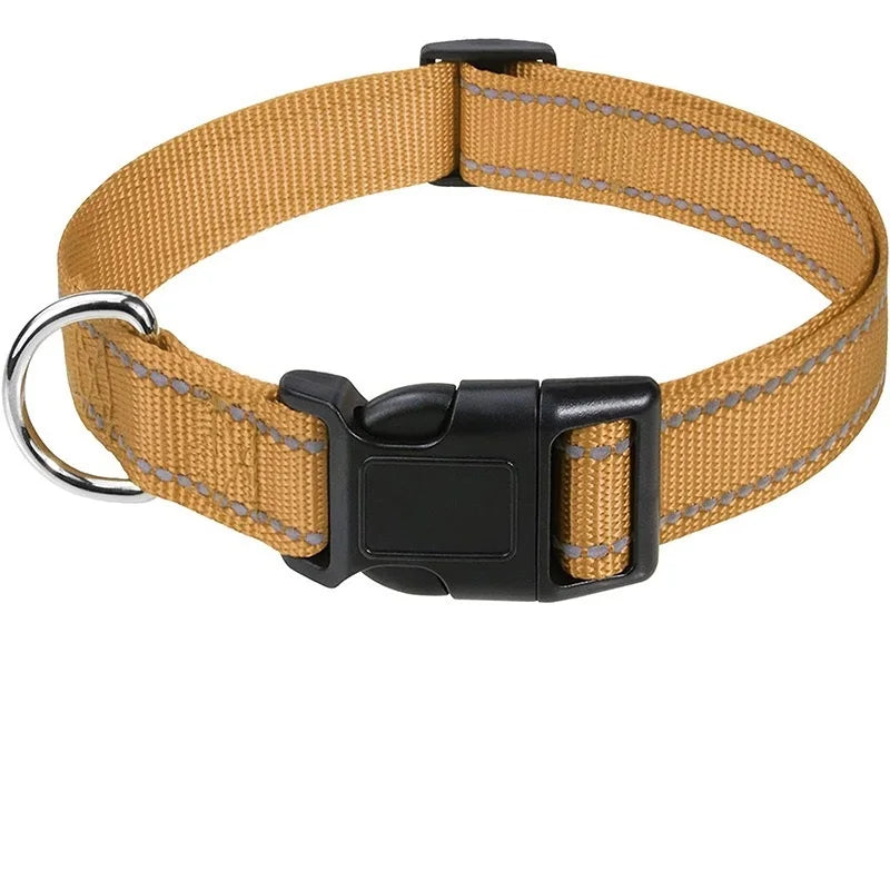 Decorative Nylon Dog Collar with Buckle Closure