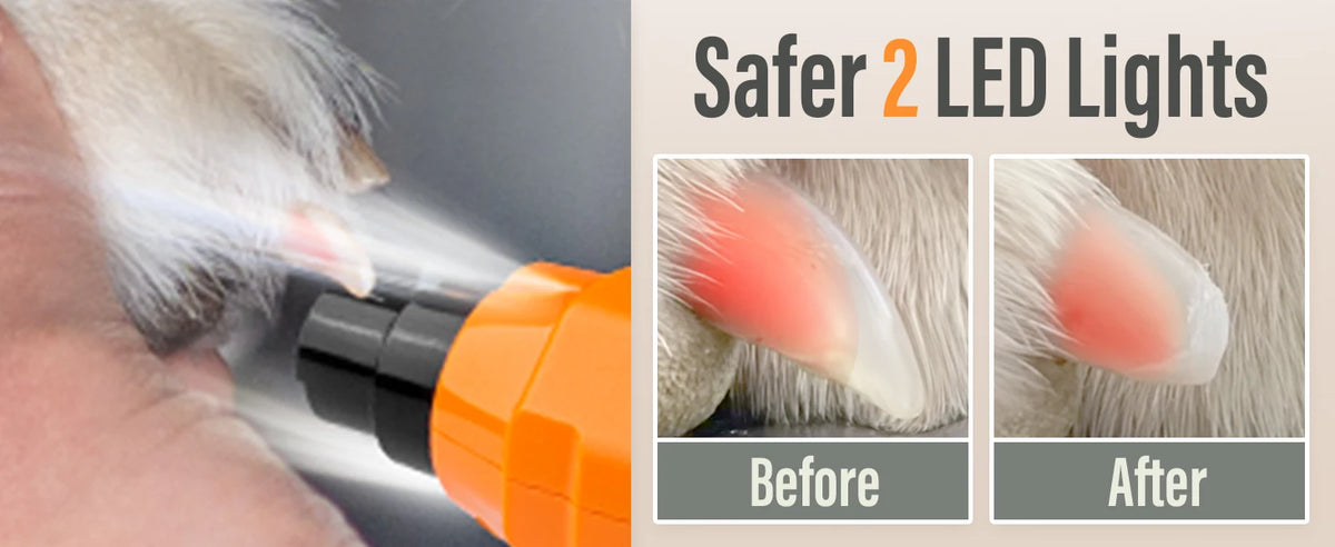 Rechargeable 6-Speed Dog Nail Grinder – Quiet & Painless Paw Care