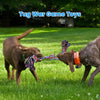 Two dogs playing tug-of-war with a colorful rope toy in a grassy field.