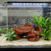 Realistic 3D Rockery Ornament for Aquarium Fish Tanks