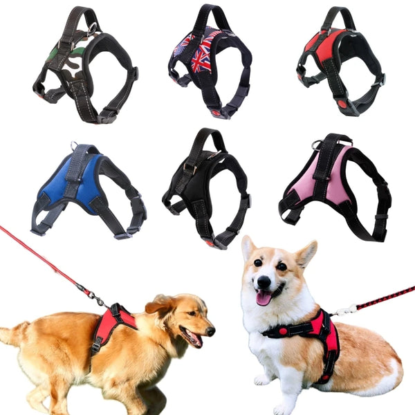 Durable Nylon Dog Harness Vest for Small to XL Dogs