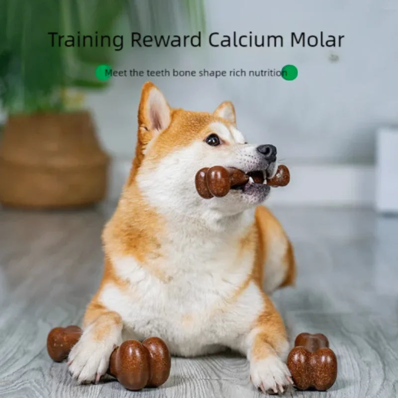 Durable Wooden Dog Chew Bone Toy for Aggressive Chewers