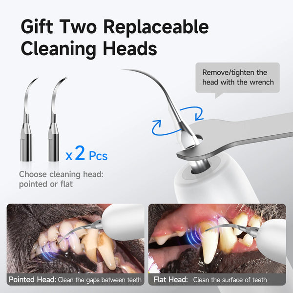 Two replaceable cleaning heads for an ultrasonic pet dental cleaner, showing pointed and flat heads used to clean teeth.