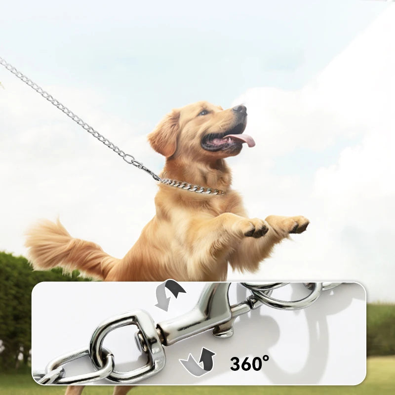 A golden retriever is pulling a heavy-duty anti-chew metal dog leash with a soft handle for training.