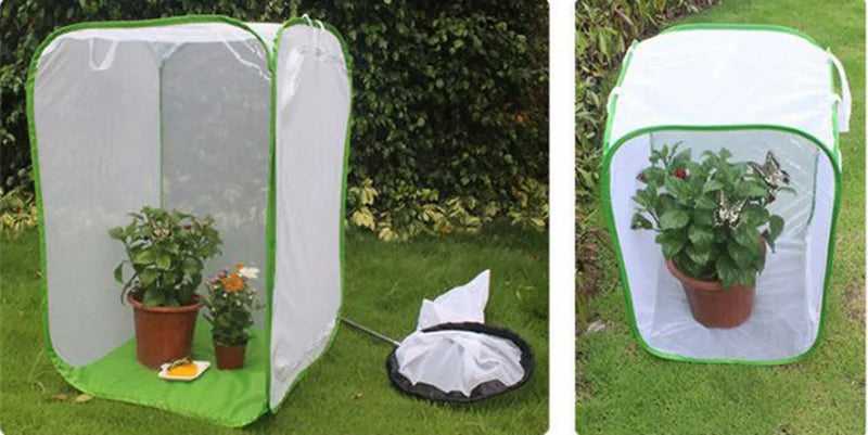 قفص حشرات قابل للطي موئل شبكي لتربية الفراشات