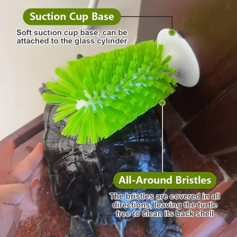 Turtle Shell Cleaning Brush with Feeding Ball