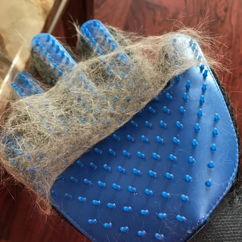 Gant de toilettage pour animaux — Élimination des poils
