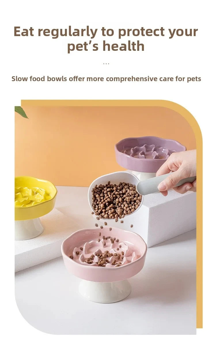 Ceramic Elevated Cat Bowl with Slow Feeder Design