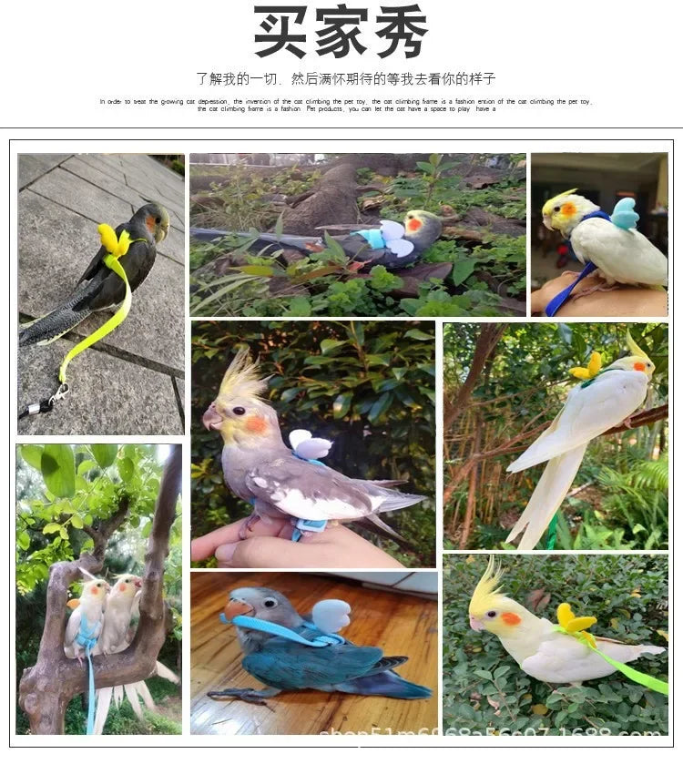 Adjustable Parrot Harness and Leash Set for Small Birds
