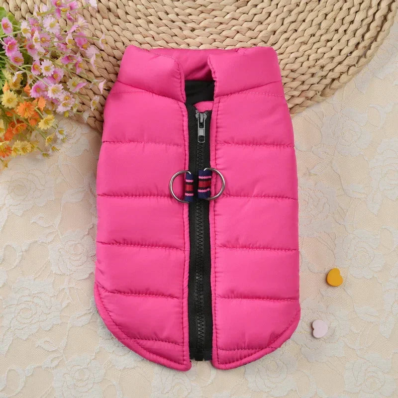 Windproof Padded Dog Coat for Small Breeds