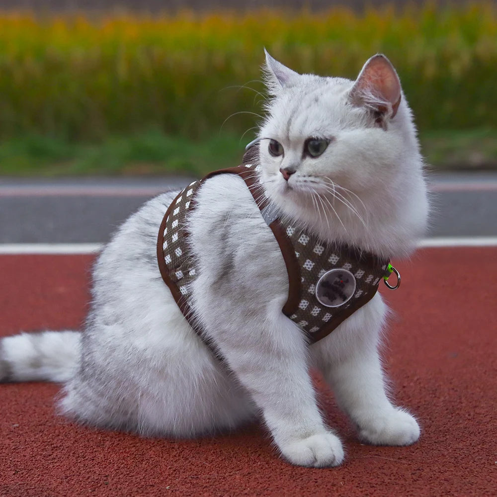 A white cat wearing a plaid pet harness with reflective strips sitting on a red surface.