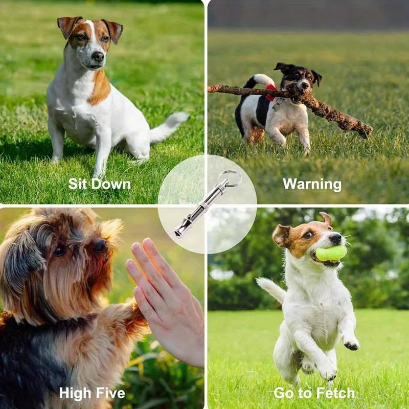 A collage showing dog training commands including Sit Down, Warning, High Five, and Go to Fetch.