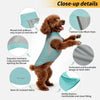 Close-up details of a light blue dog cooling vest with mesh fabric, showing features like breathable design and gentle bounce