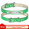 Individuell gravierte Leder-Hundehalsband mit ID-Tag