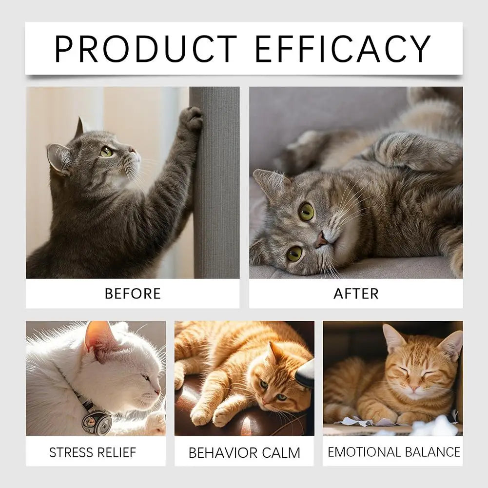 Cat Pheromone Diffuser – Calming Plug-in for Anxiety & Stress Relief