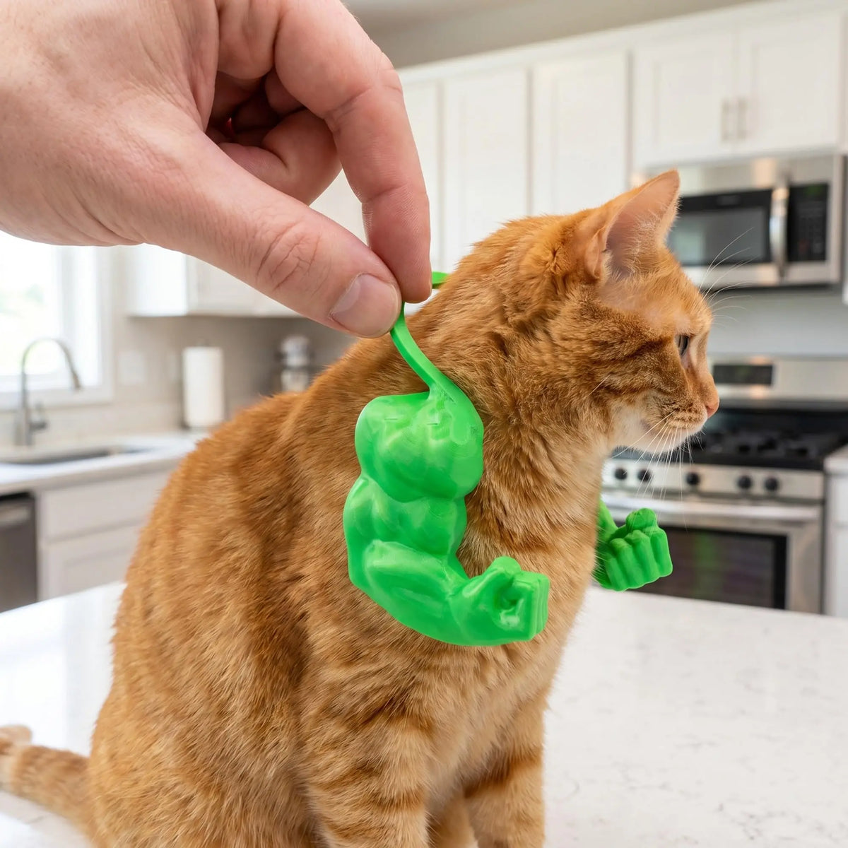 Eine orange tabby Katze wird einem grün gedruckten Muskelkostüm für Haustiere gezeigt.
