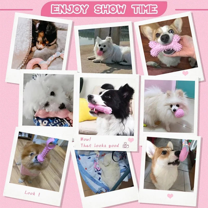 A collection of dog chew toys featuring various breeds and colors including white, black, and tan dogs.