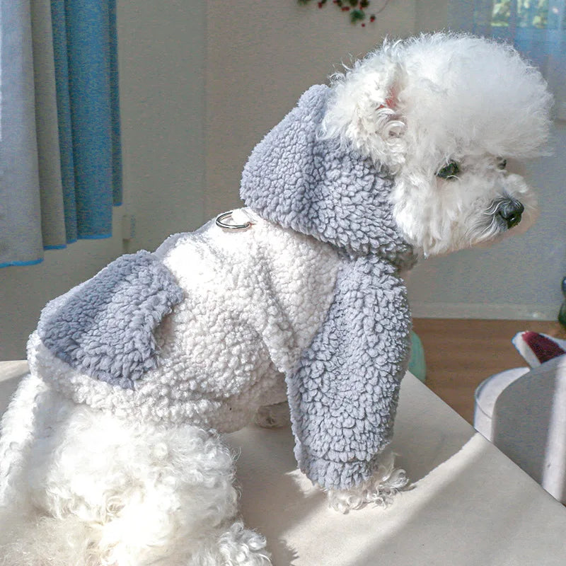 Suéter con Capucha de Lana Berber para Perro