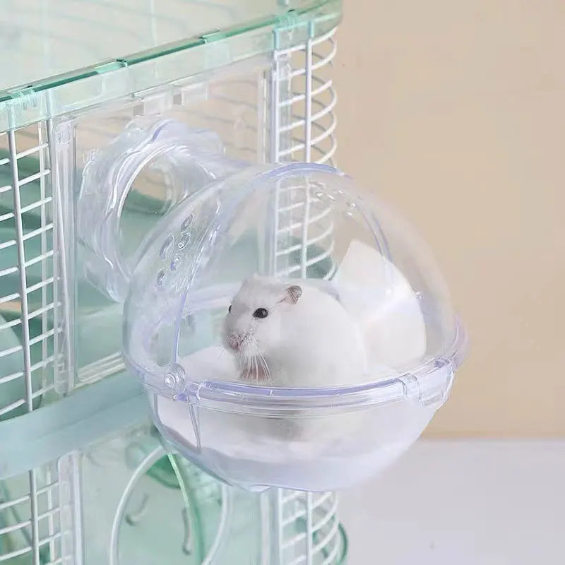 Bac à bain de sable translucide pour hamster