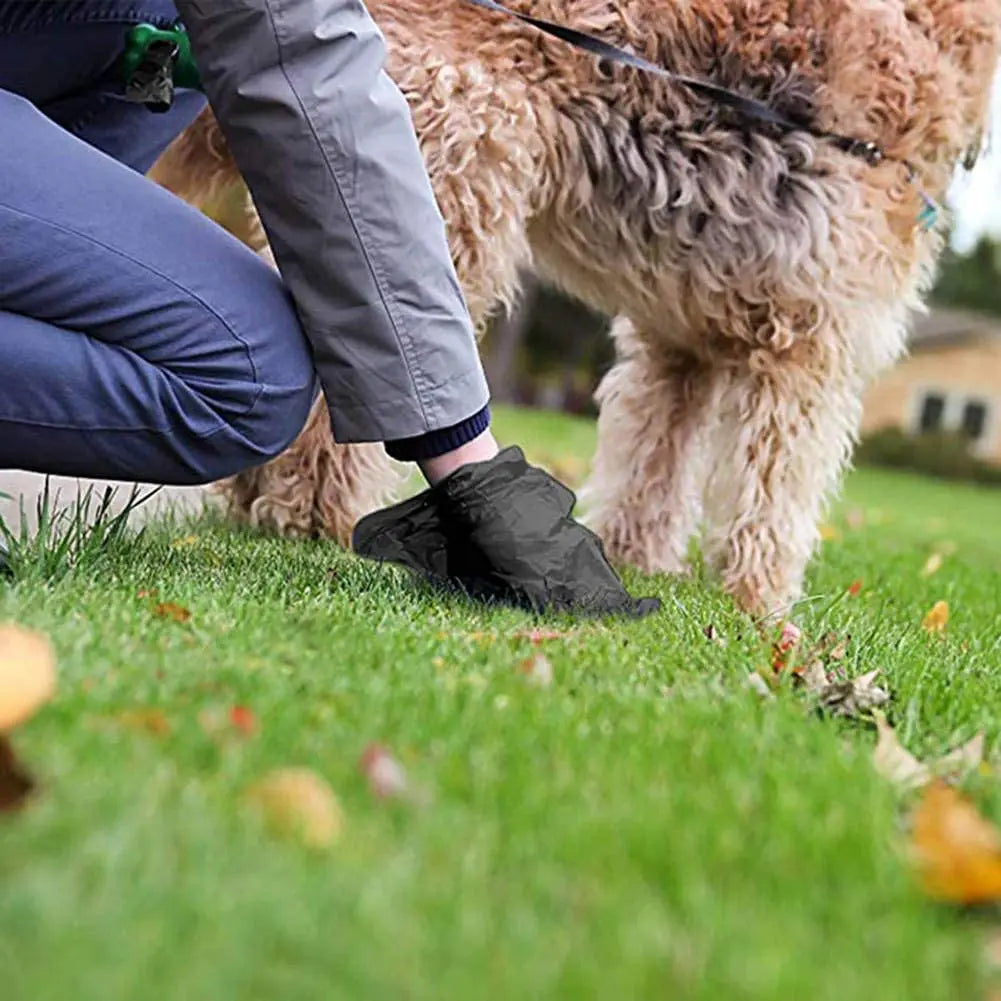 A person wearing dark pants is kneeling on grass next to a large, fluffy dog while holding a black leash clip.