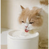 A fluffy orange and white cat is drinking water from a white ceramic automatic pet water fountain.