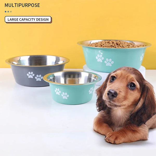 A brown dog is looking at a teal ceramic bowl and a silver stainless steel bowl on a white surface.