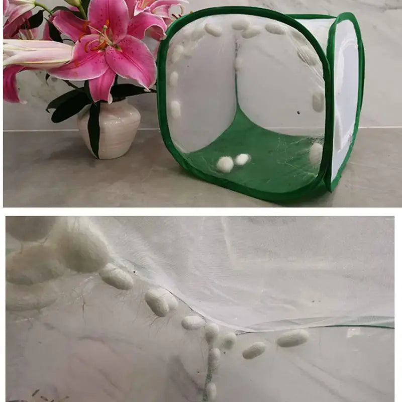 قفص حشرات قابل للطي موئل شبكي لتربية الفراشات