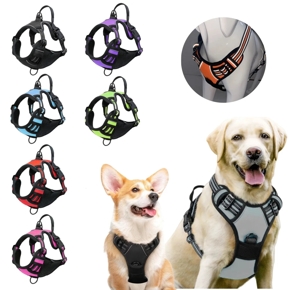 Various colors and styles of heavy duty no-pull dog harnesses displayed alongside a golden retriever wearing one.
