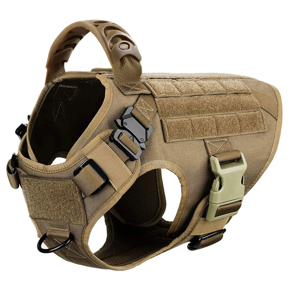 A tan durable dog harness and leash set for training, shown from above.