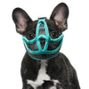 A black and white dog wearing a teal mesh muzzle for training or grooming.