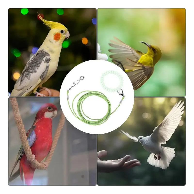 Parrot Flying Training Rope with Foot Ring - 6 ft Leash