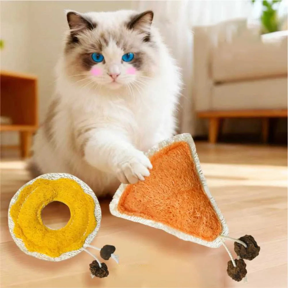 A fluffy white cat is looking at an orange loofah shaped chew toy on a wooden floor.